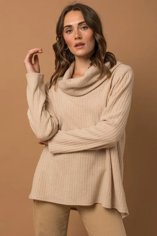 Long Sleeve Turtle Neck Top